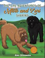 The Life Adventures of Mtoto and Zuri - Sharing