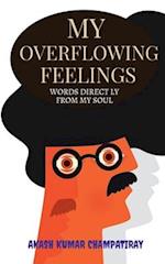 My Overflowing Feelings