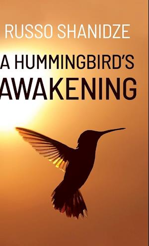 A Hummingbird's Awakening