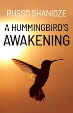 A Hummingbird's Awakening 