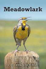 Meadowlark 