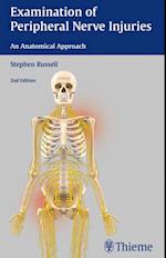 Examination of Peripheral Nerve Injuries: An Anatomical Approach