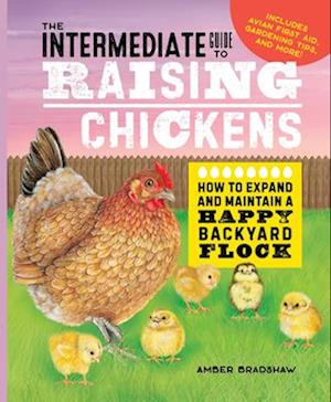 The Intermediate Guide to Raising Chickens