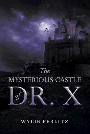 The Mysterious Castle of Dr. X