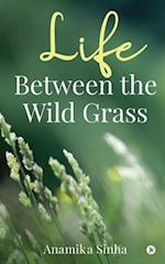 Life Between the Wild Grass 