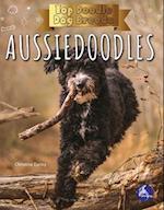 Aussiedoodles