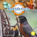 Bird Life Cycle