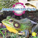 Amphibian Life Cycle
