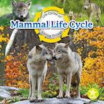 Mammal Life Cycle
