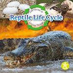 Reptile Life Cycle