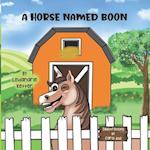 A Horse named Boon 