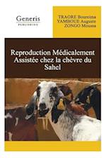 Réproduction médicalement assistée chez la chèvre du Sahel