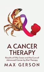 A Cancer Therapy Hardcover 