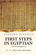 First Steps in Egyptian A Book for Beginners 