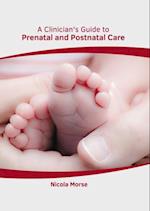A Clinician's Guide to Prenatal and Postnatal Care 