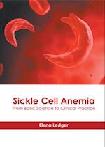 Sickle Cell Anemia: From Basic Science to Clinical Practice 