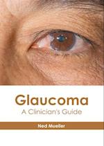Glaucoma: A Clinician's Guide 