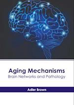 Aging Mechanisms