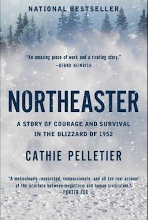 Northeaster