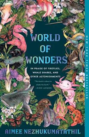 World of Wonders