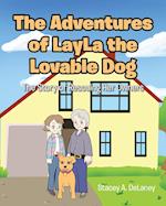 The Adventures of LayLa the Lovable Dog