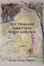 Ten Thousand Spiderwebs Bright with Dew 