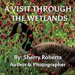 A Visit Through the Wetlands