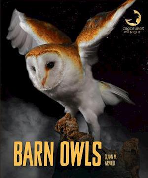 Barn Owls