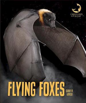 Flying Foxes