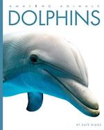 Dolphins