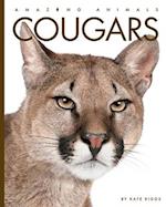 Cougars