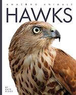 Hawks