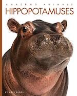 Hippopotamuses