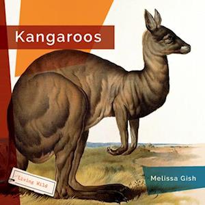 Kangaroos