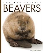 Beavers