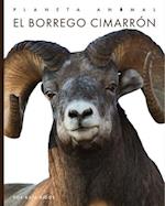 El Borrego Cimarrón