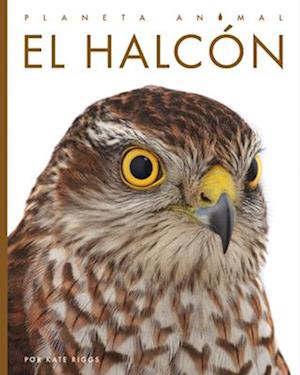 El Halcón