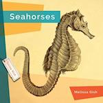 Seahorses