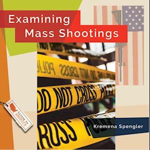 Examining Mass Shootings