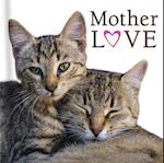 Mothers Love (Cats)