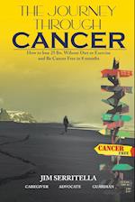 The Journey Through Cancer