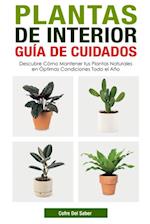 Plantas de Interior Guía de Cuidados: Descubre Cómo Mantener tus Plantas Naturales en Óptimas Condiciones Todo el Año