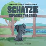 Schatzie Explores The Creek: The Adventures of Shatzie, the Shaggy Schnauzer 