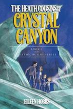 The Heath Cousins and the Crystal Canyon : Book 3 in the Heath Cousins Series