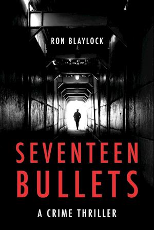 Seventeen Bullets