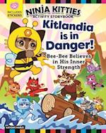 Ninja Kitties Kitlandia is in Danger! Activity Storybook