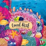 Discovering the Secret World of the Coral Reef