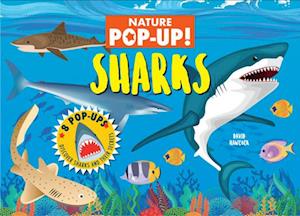 Nature Pop-Up! Sharks