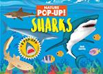 Nature Pop-Up! Sharks