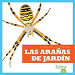 Las Aranas de Jardin (Garden Spiders)